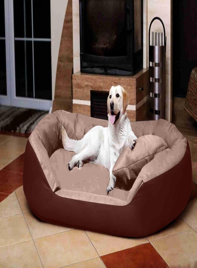DRILLY First Class Fur 4XL Dog Bed for Extra Large Dogs Washable-Orthopedic Big Dog Beds | Big Breed | | Giant Human Dog Bed__ (4XL) - Image 1
